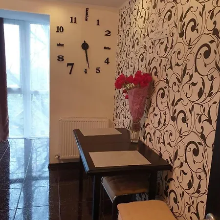 Elena'S Holiday Apartment Kamianets-Podilskyi Exterior photo